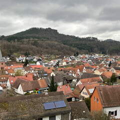 24-03-01 10-39-56 8854